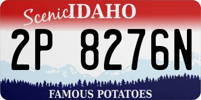 ID license plate 2P8276N