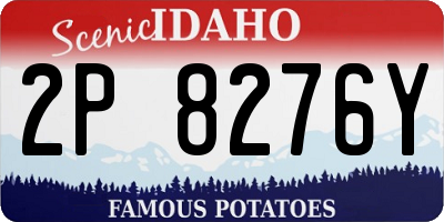 ID license plate 2P8276Y