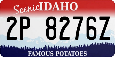 ID license plate 2P8276Z