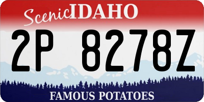 ID license plate 2P8278Z