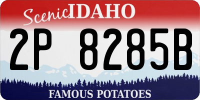 ID license plate 2P8285B