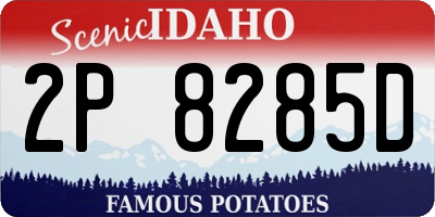 ID license plate 2P8285D