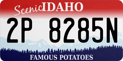 ID license plate 2P8285N