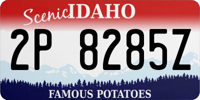 ID license plate 2P8285Z