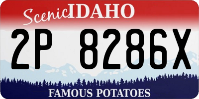 ID license plate 2P8286X