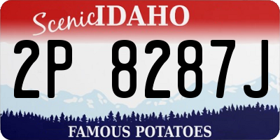 ID license plate 2P8287J