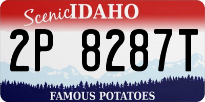 ID license plate 2P8287T