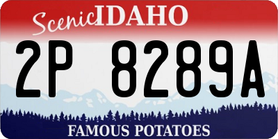 ID license plate 2P8289A