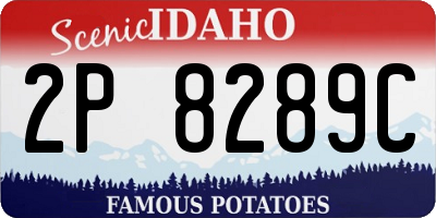 ID license plate 2P8289C