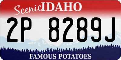 ID license plate 2P8289J