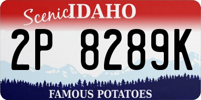ID license plate 2P8289K