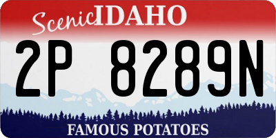 ID license plate 2P8289N