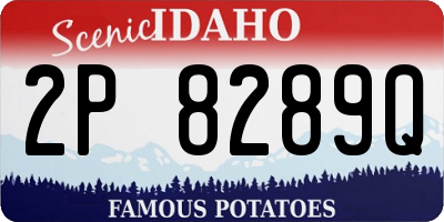 ID license plate 2P8289Q