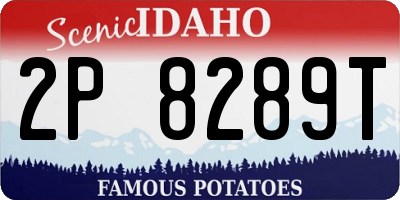 ID license plate 2P8289T