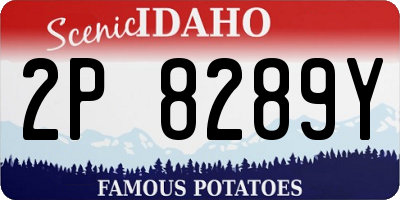 ID license plate 2P8289Y