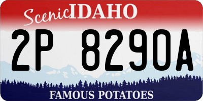 ID license plate 2P8290A