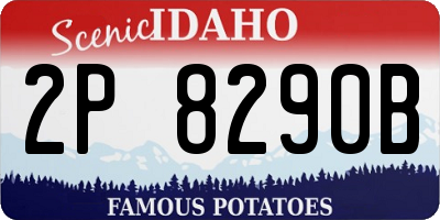 ID license plate 2P8290B