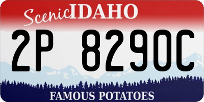 ID license plate 2P8290C