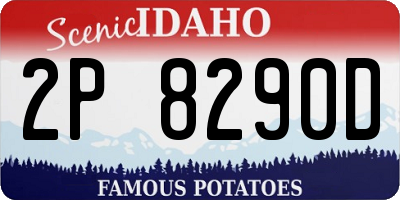 ID license plate 2P8290D