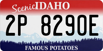 ID license plate 2P8290E