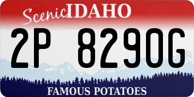 ID license plate 2P8290G