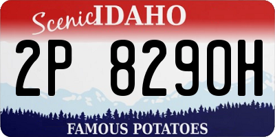 ID license plate 2P8290H
