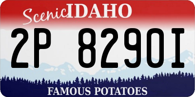 ID license plate 2P8290I
