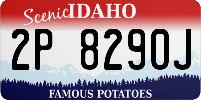 ID license plate 2P8290J