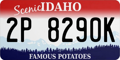 ID license plate 2P8290K