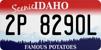 ID license plate 2P8290L