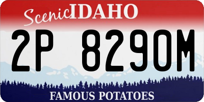ID license plate 2P8290M