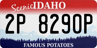 ID license plate 2P8290P
