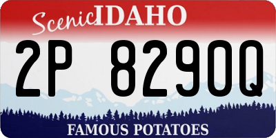 ID license plate 2P8290Q
