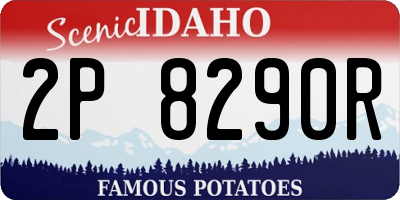 ID license plate 2P8290R