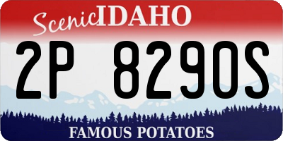 ID license plate 2P8290S