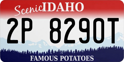ID license plate 2P8290T