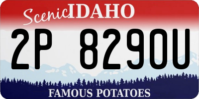 ID license plate 2P8290U