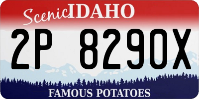 ID license plate 2P8290X