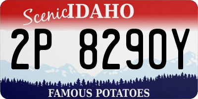 ID license plate 2P8290Y