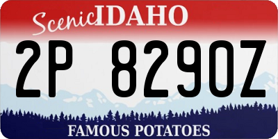 ID license plate 2P8290Z