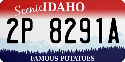 ID license plate 2P8291A