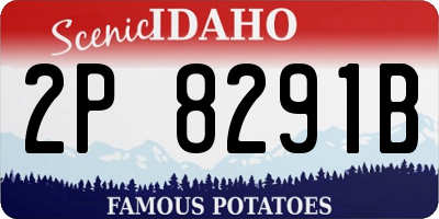ID license plate 2P8291B