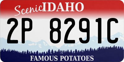 ID license plate 2P8291C