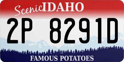 ID license plate 2P8291D