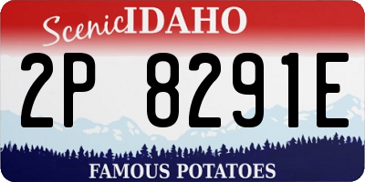 ID license plate 2P8291E
