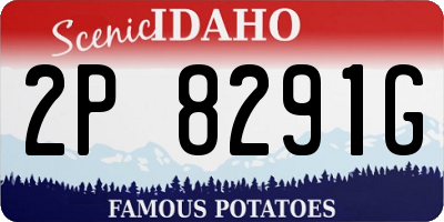 ID license plate 2P8291G