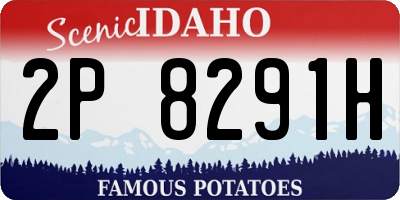 ID license plate 2P8291H