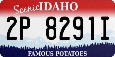 ID license plate 2P8291I