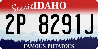ID license plate 2P8291J