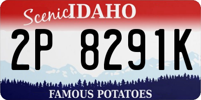 ID license plate 2P8291K
